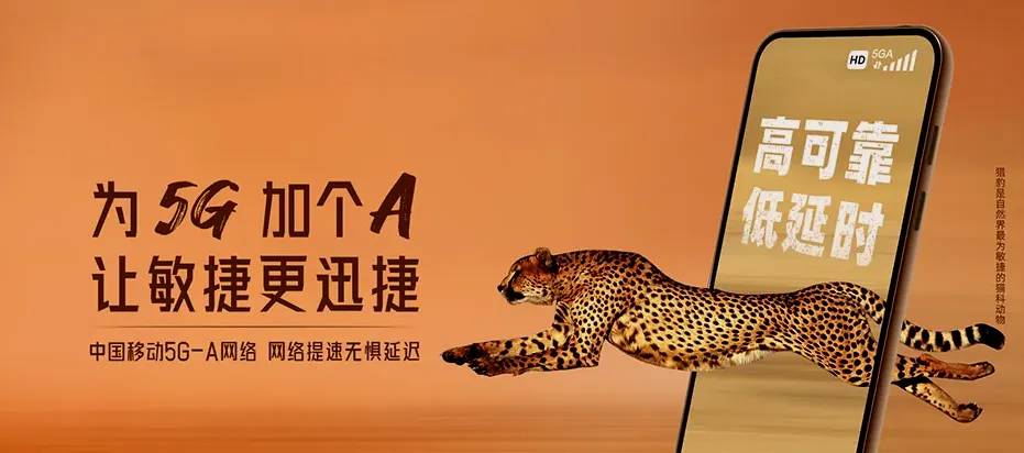 淮阳区淮阳区城关回族镇 移动宽带